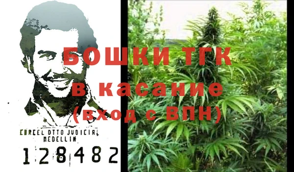 гидра Белокуриха