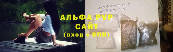 эйфоретик Беломорск
