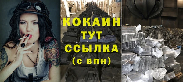 стаф Няндома
