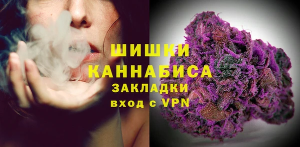 гидра Белокуриха