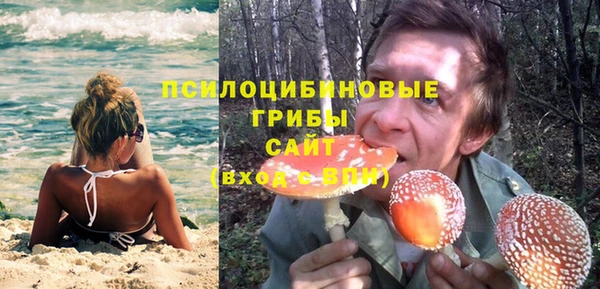 эйфоретик Беломорск