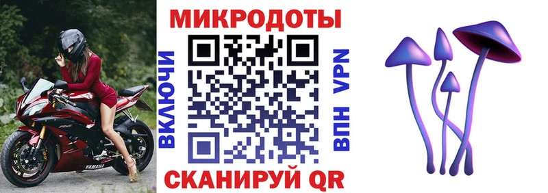 Псилоцибиновые грибы GOLDEN TEACHER  Купить  Ардатов 